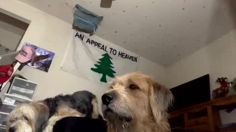 SummerPeach online show from December 6, 2024, 9:43 am