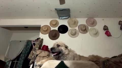 SummerPeach online show from January 7, 2025, 2:42 am