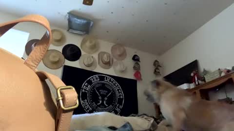 SummerPeach online show from January 19, 2025, 11:21 pm