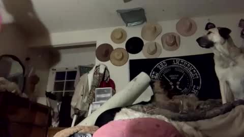 SummerPeach online show from January 28, 2025, 2:00 am