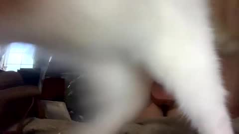 SummerPeach online show from February 1, 2025, 1:12 am