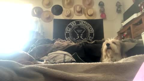 SummerPeach online show from February 3, 2025, 7:42 pm