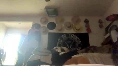 SummerPeach online show from February 5, 2025, 4:14 pm