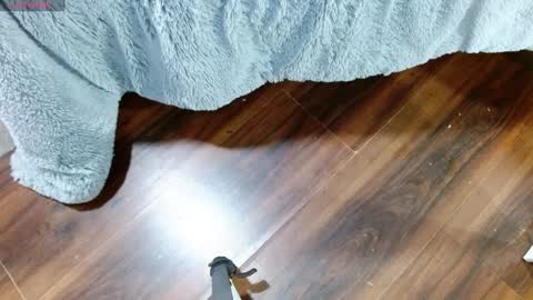 Maddy UwU online show from January 28, 2025, 12:32 pm