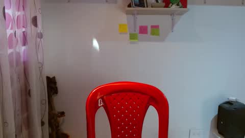 Madison Cambel online show from January 29, 2025, 10:11 pm