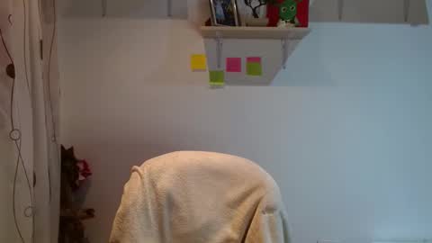 Madison Cambel online show from February 12, 2025, 3:40 am