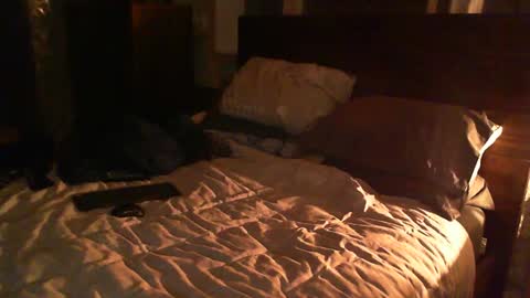 Guigui online show from February 26, 2025, 12:38 am