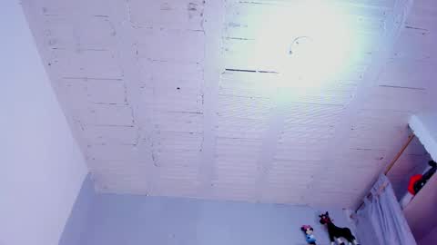 Magnus King online show from September 17, 2025, 12:07 pm