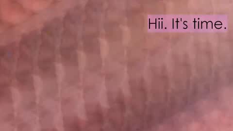 Snapshot of maitte_angel chatting on April 2, 2026, 12:03 pm maitte_angel online show from April 2, 2026, 12:03 pm