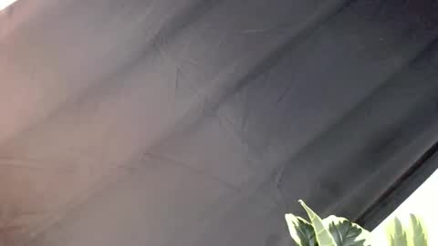 Snapshot of majesticcock_kyla chatting on October 22, 2025, 12:16 pm majesticcock_kyla online show from October 22, 2025, 12:16 pm