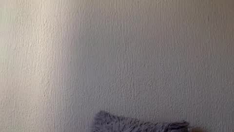 Snapshot of majo_gomezz chatting on March 20, 2026, 7:41 pm majo_gomezz online show from March 20, 2026, 7:41 pm