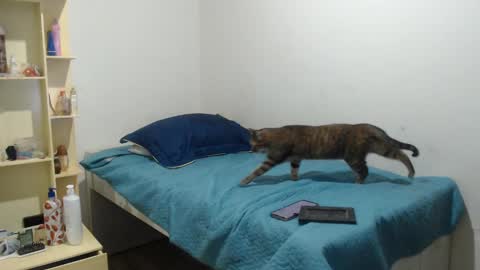 MAKENNAA online show from March 12, 2025, 9:12 am