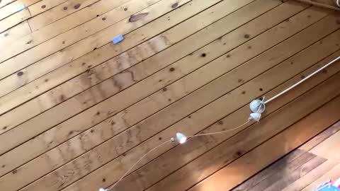 Snapshot of makeyousquirt1969 chatting on October 27, 2025, 7:01 am makeyousquirt1969 online show from October 27, 2025, 7:01 am