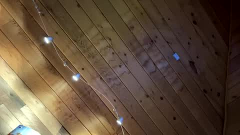 Snapshot of makeyousquirt1969 chatting on February 10, 2026, 7:56 am makeyousquirt1969 online show from February 10, 2026, 7:56 am