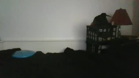 Snapshot of malebdsmslut chatting on May 31, 2026, 12:23 pm CommandbondageNipples bondage kink submissive lovense slave wgear. modequiethvyBondage If Password goldfish online show from May 31, 2026, 12:23 pm