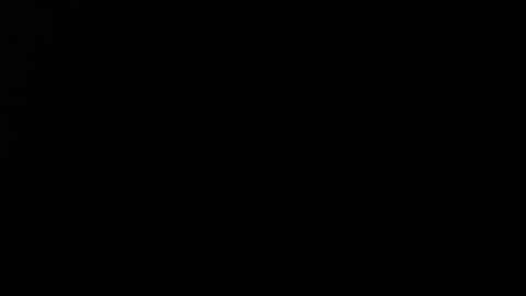 Snapshot of maliceinwonderland25 chatting on November 2, 2025, 12:13 am Alice Asylum online show from November 2, 2025, 12:13 am