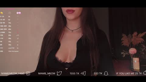 Snapshot of mamiemeow chatting on February 6, 2025, 11:43 am Your Miss Alice online show from February 6, 2025, 11:43 am