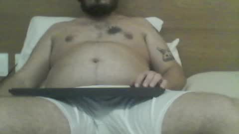 manatee bear online show from December 22, 2025, 2:30 am