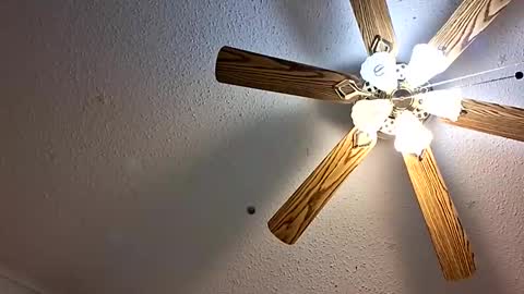 Jan and Man online show from February 1, 2026, 5:17 am