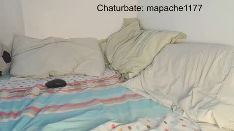 Snapshot of mapache1177 chatting on May 21, 2026, 6:59 pm mapache1177 online show from May 21, 2026, 6:59 pm