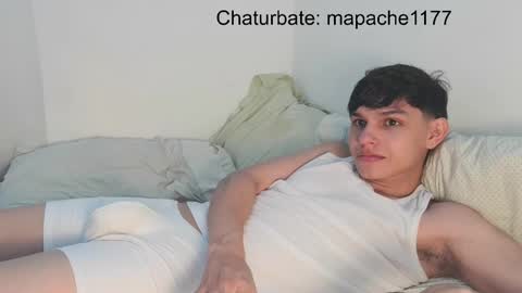 Snapshot of mapache1177 chatting on May 23, 2026, 7:40 pm mapache1177 online show from May 23, 2026, 7:40 pm