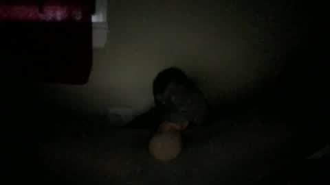 marc059 online show from October 6, 2025, 9:01 pm