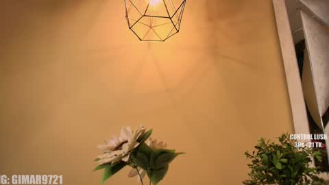 Marcela online show from September 23, 2025, 11:41 pm