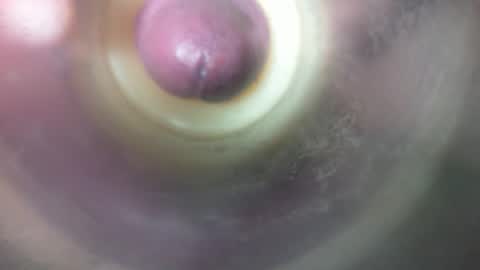 Marc online show from February 19, 2026, 8:49 pm