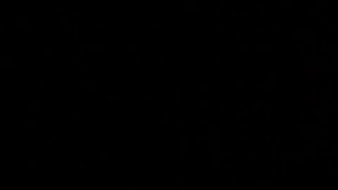 Snapshot of margolane chatting on October 11, 2025, 2:26 pm Elle online show from October 11, 2025, 2:26 pm