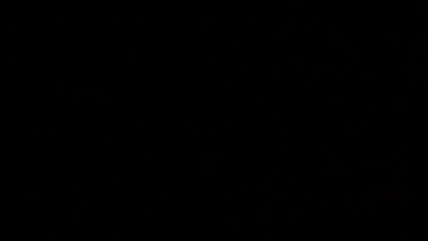 Snapshot of margolane chatting on October 19, 2025, 12:11 am Elle online show from October 19, 2025, 12:11 am