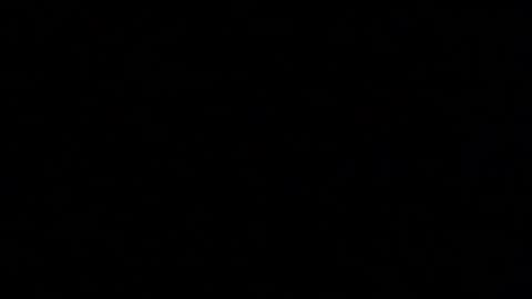 Snapshot of margolane chatting on October 20, 2025, 1:33 pm Elle online show from October 20, 2025, 1:33 pm