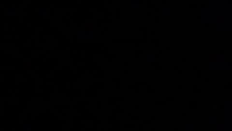 Snapshot of margolane chatting on November 15, 2025, 3:30 pm Elle online show from November 15, 2025, 3:30 pm