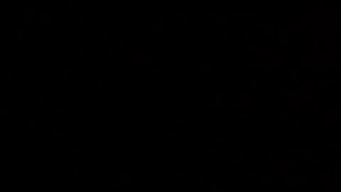 Snapshot of margolane chatting on December 4, 2025, 2:10 am Elle online show from December 4, 2025, 2:10 am