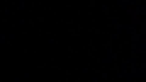 Snapshot of margolane chatting on January 8, 2026, 6:16 am Elle online show from January 8, 2026, 6:16 am