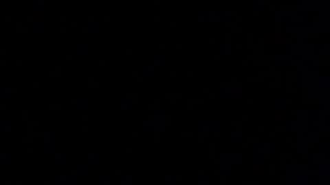 Snapshot of margolane chatting on January 14, 2026, 12:55 pm Elle online show from January 14, 2026, 12:55 pm