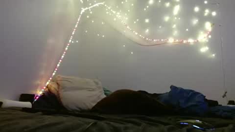 Snapshot of markymark101825061 chatting on February 10, 2025, 8:31 pm markymark101825061 online show from February 10, 2025, 8:31 pm