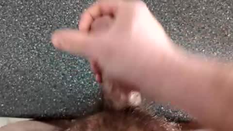 marrieddadeh online show from March 23, 2026, 4:55 pm