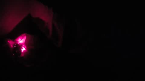 Snapshot of martamoontrans chatting on October 8, 2025, 1:25 am martamoontrans online show from October 8, 2025, 1:25 am