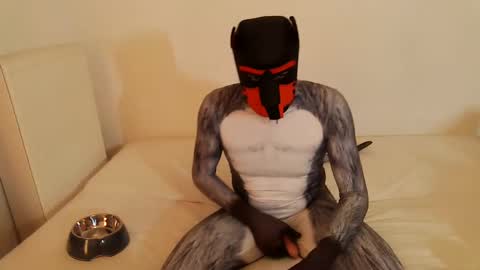 martin_ni online show from February 14, 2025, 11:53 am