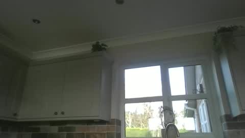 Snapshot of martinrgbxxxx chatting on February 23, 2026, 9:28 am martinrgbxxxx online show from February 23, 2026, 9:28 am