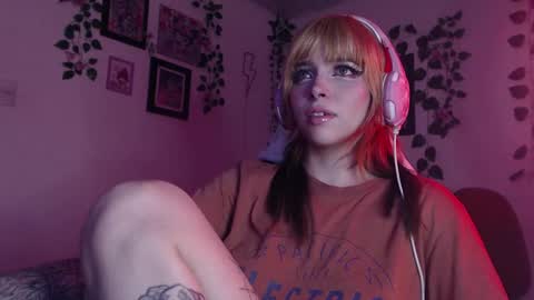                      100   online show from December 19, 2024, 9:07 am