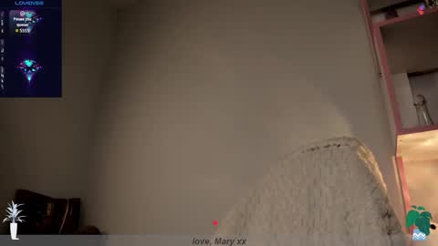 Mary GTM3Mon Wed Thu Sat Sun 0400 am-1030pm online show from November 24, 2025, 1:05 am