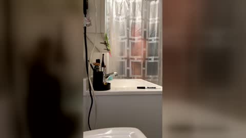 HappyZending online show from January 17, 2026, 11:19 pm