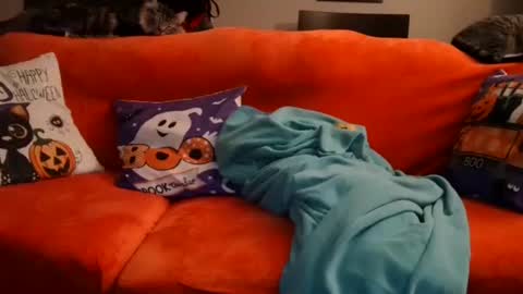 alex online show from October 20, 2025, 7:53 am