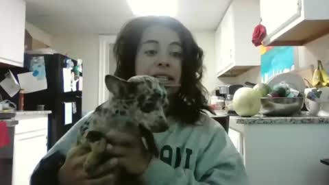 Snapshot of mastressluna chatting on November 21, 2025, 9:24 pm Mastress Luna online show from November 21, 2025, 9:24 pm