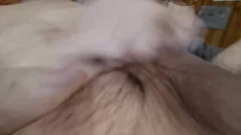 masturbator469658 online show from November 7, 2025, 2:50 pm