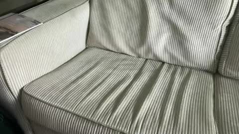 mat0891 online show from February 3, 2025, 7:21 pm