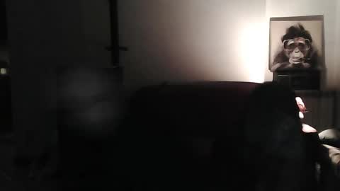 mat11efou online show from March 8, 2025, 7:20 pm