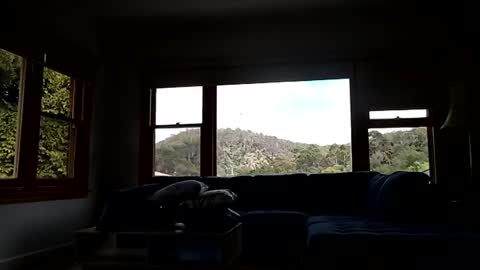 Snapshot of mattlesnake_101 chatting on February 15, 2026, 12:40 am mattlesnake_101 online show from February 15, 2026, 12:40 am