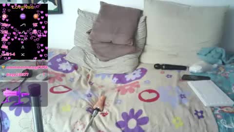 DominikFrank online show from January 31, 2025, 1:11 am